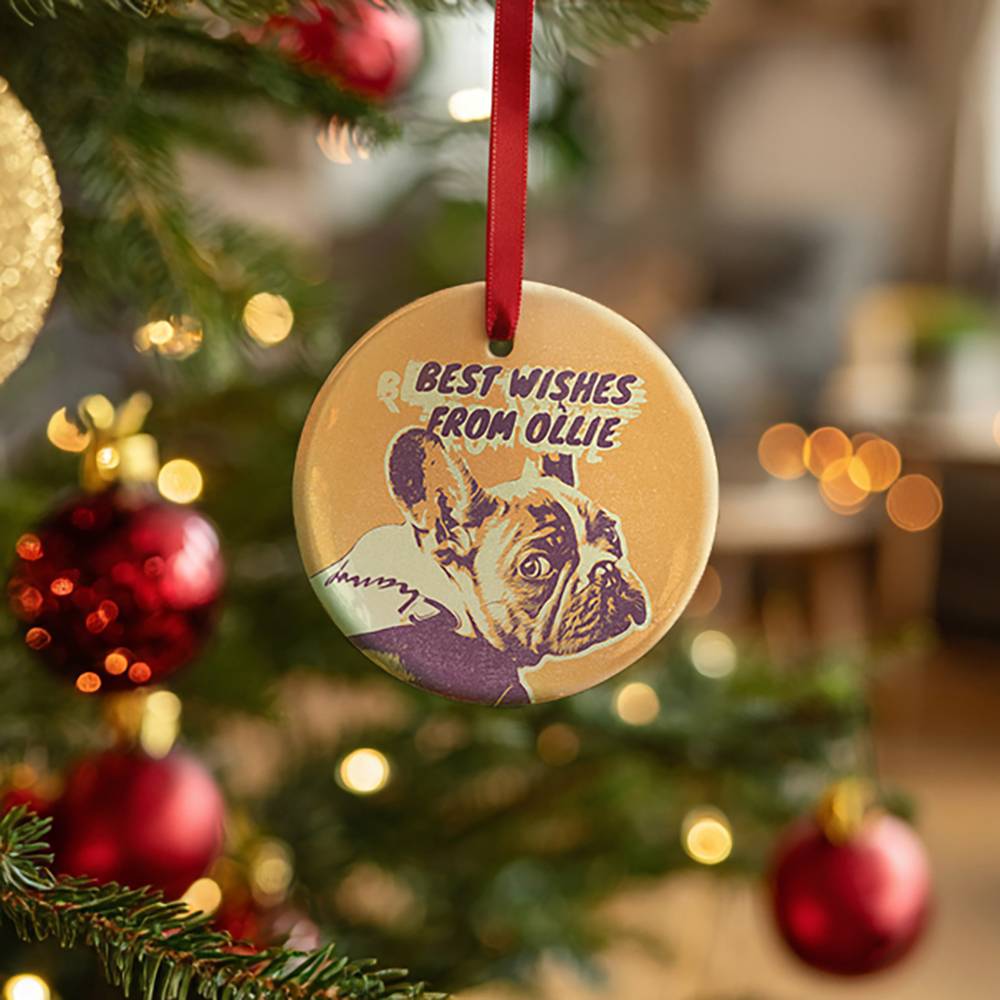 FurEver Friends Personalized Ceramic Ornament-2 product photo
