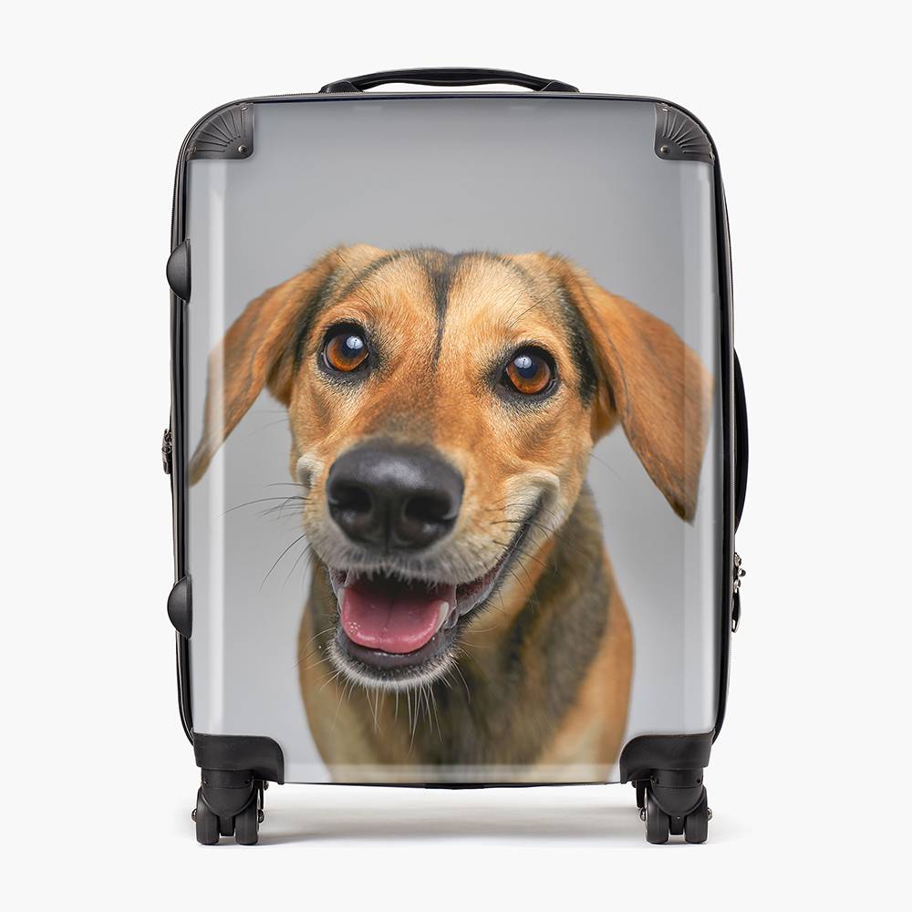 Furst Class - Custom Large Check-In Suitcase-8 Furst Class - Custom Large Check-In Suitcase-8 product photo