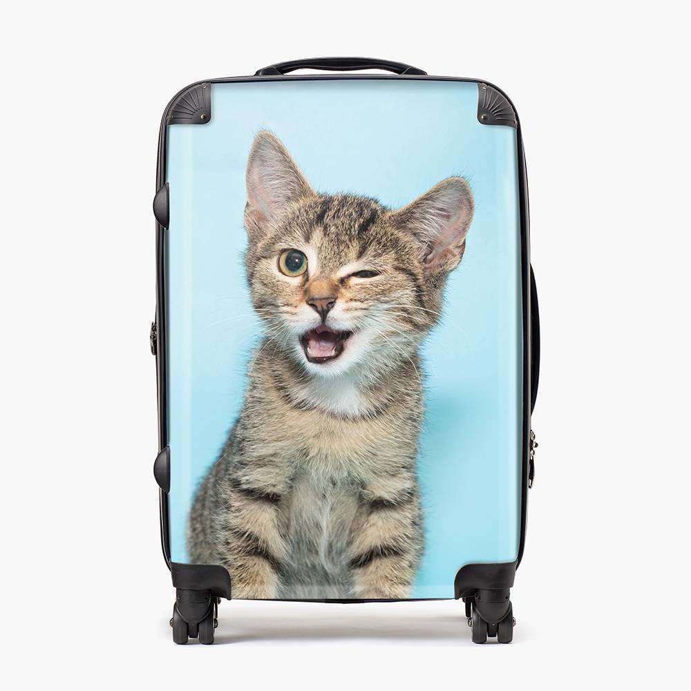 Furst Class - Custom Medium Check-In Suitcase-7 product photo