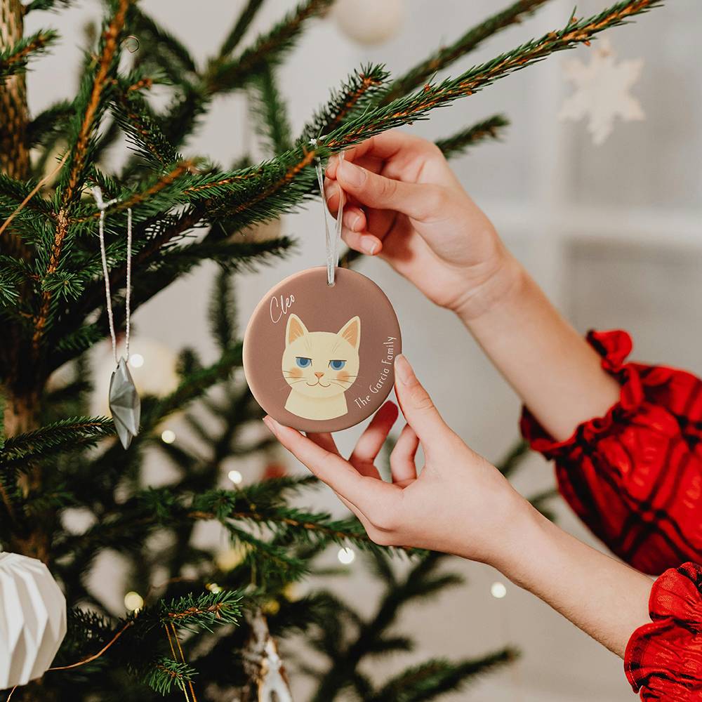Paw-liday Magic – Custom Pet Portrait Ornament Set of Three-1 product photo
