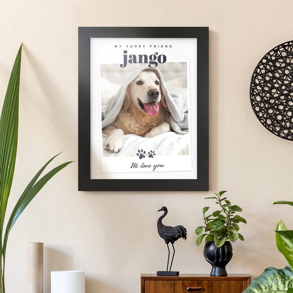 7 Pet-Friendly Interior Design Ideas Your Furry Friend Will Love